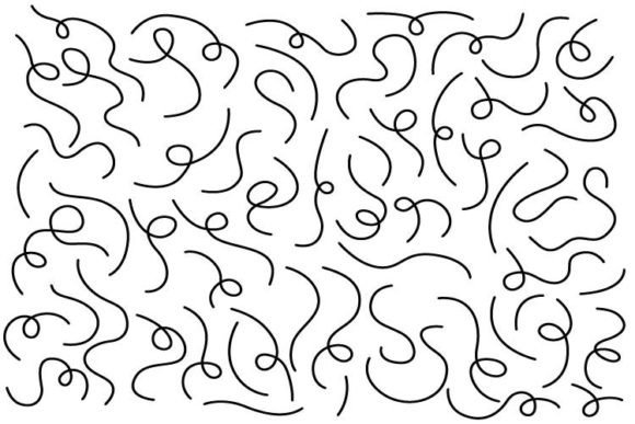 Curved Lines Collection: Graphics & Web Elements for Modern Branding