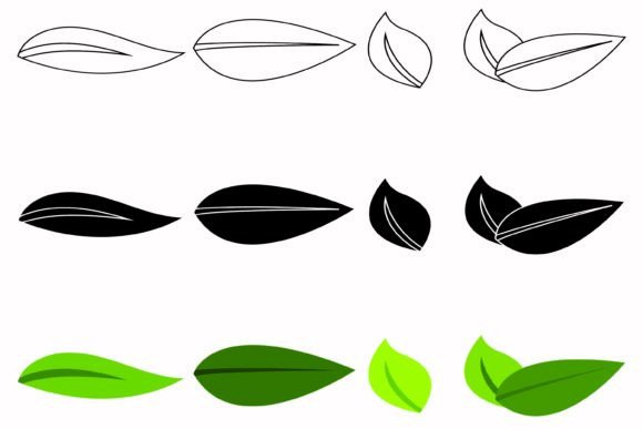 Leaf Nature Ecology Icon Collection: Graphics & Web Elements