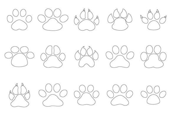 Paw Collection: Graphics & Web Elements for Local Branding